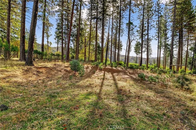 a view of backyard with green space