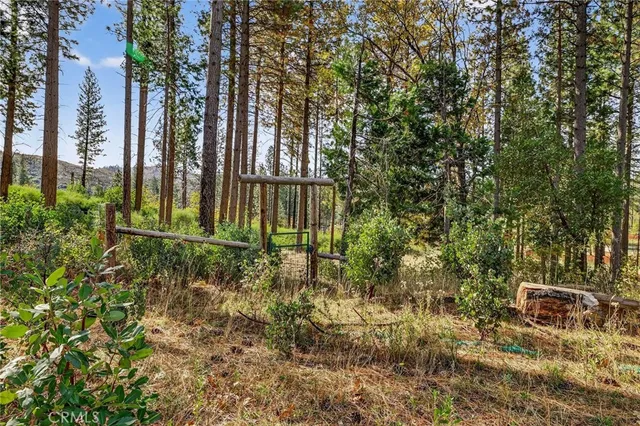 a view of a back yard