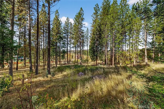 a view of yard with green space