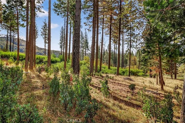 a view of outdoor space with garden