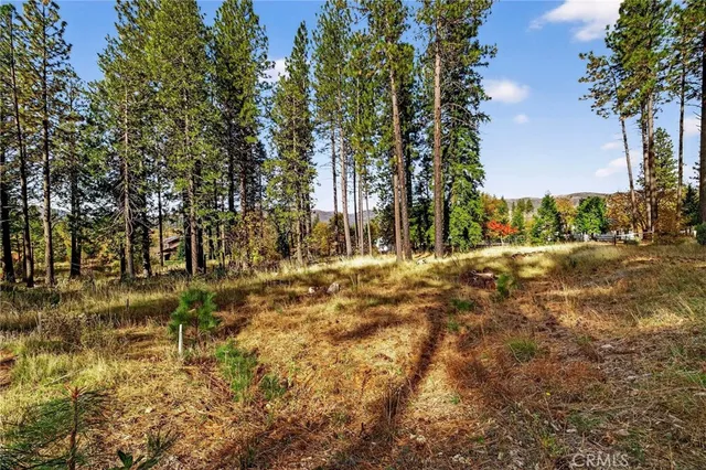 a view of outdoor space with trees