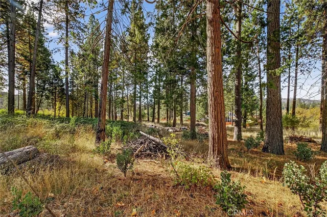 a view of backyard of house