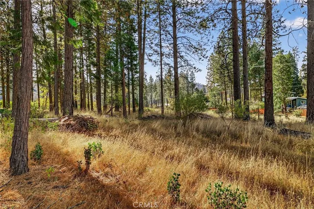 a view of backyard of house