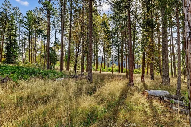 a view of swimming pool and trees