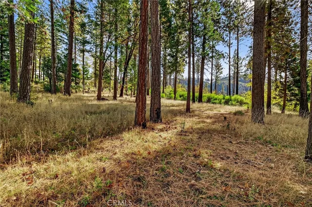 a view of road with trees