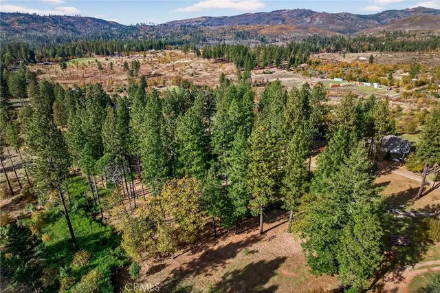 a view of a lush green forest with mountains in the background