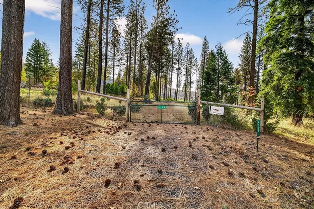 a backyard of a house with lots of green space
