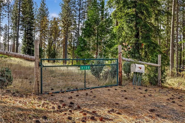 a view of a backyard