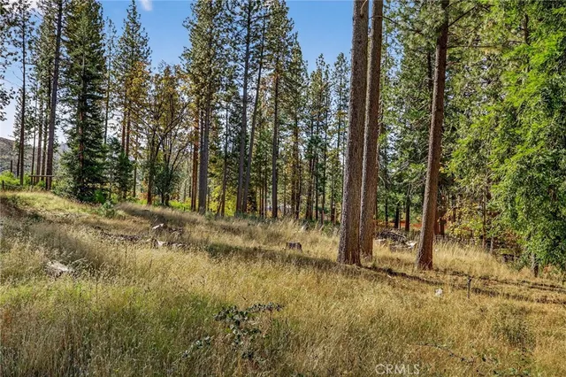a view of outdoor space with trees
