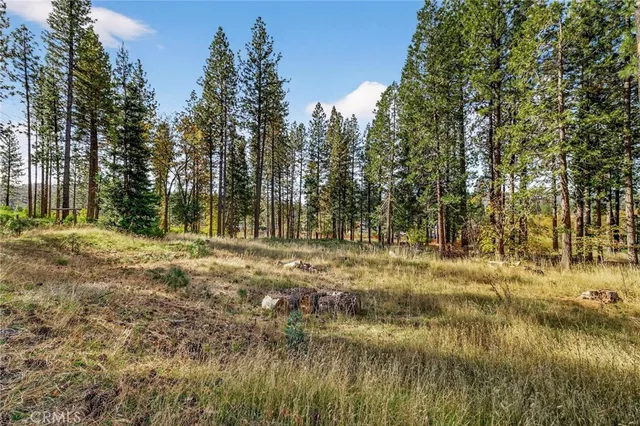 a view of outdoor space with trees