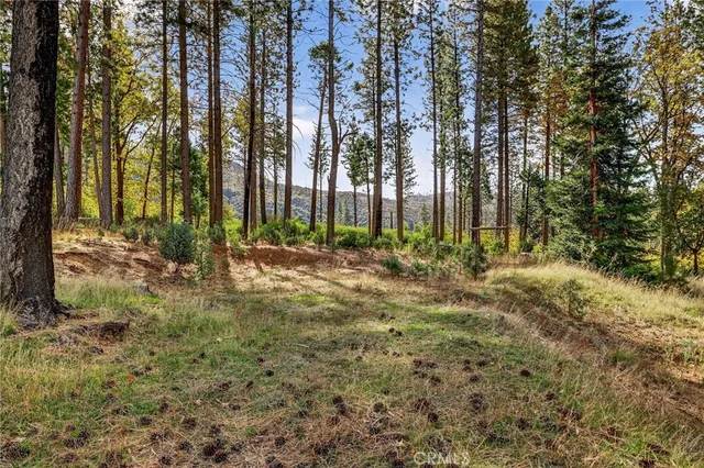 a view of backyard with green space