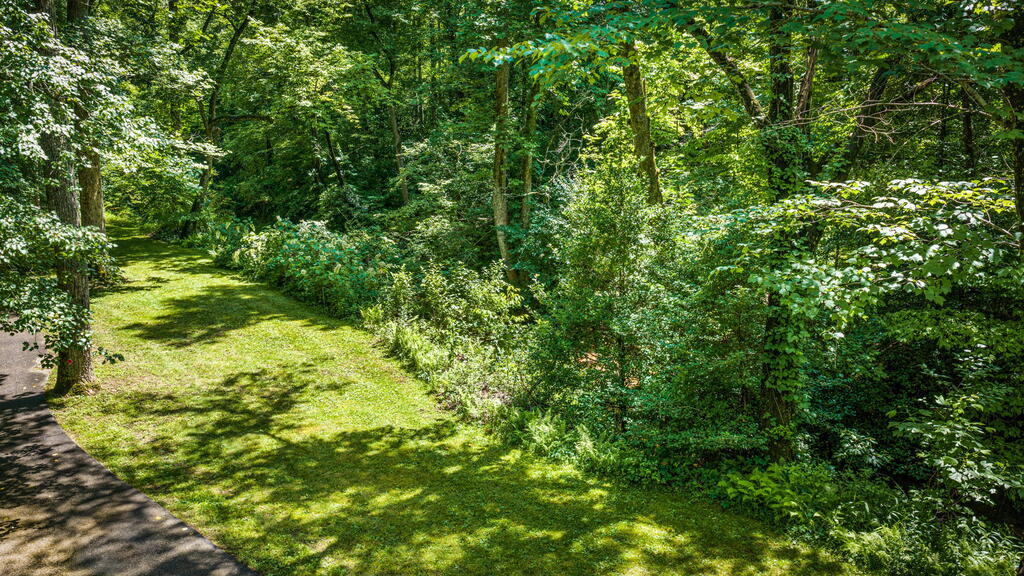 2977 Highway 2 Blue Ridge, GA 30513 - Photo 52 of 96 Gallery Image 52