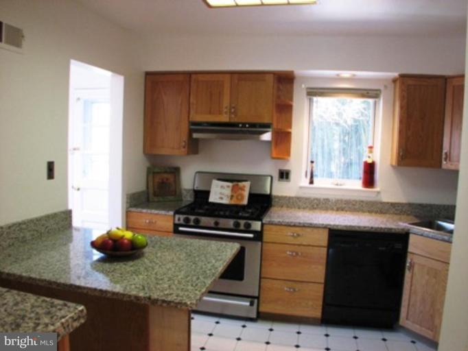 3713 North Glebe Road Arlington, VA 22207 - Photo 16 of 30 a kitchen with stainless steel appliances granite countertop a stove and a sink