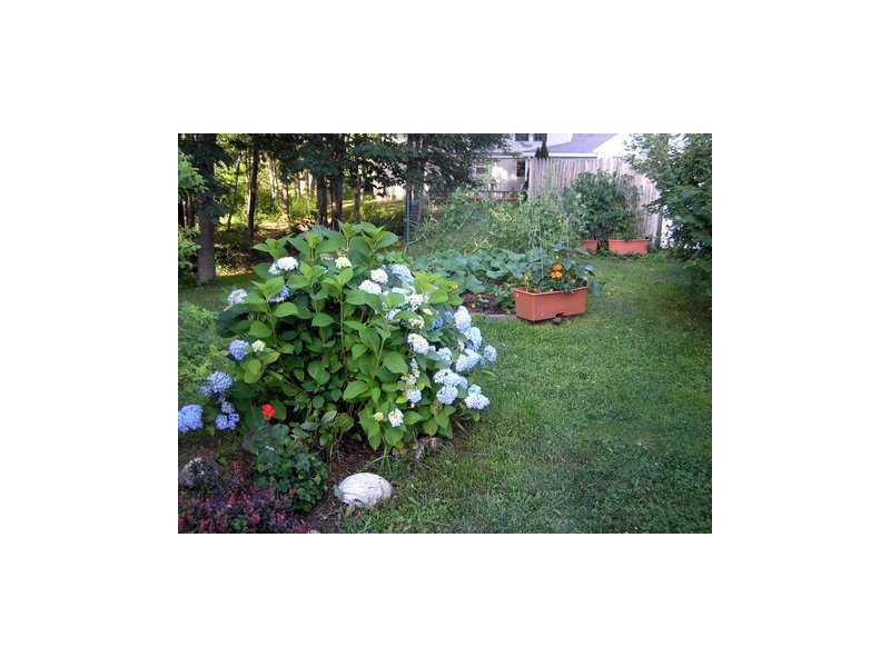 55 Willow Grove Road, Unit 55 Brunswick, ME 04011 - Photo 25 of 28 Yard/Garden.