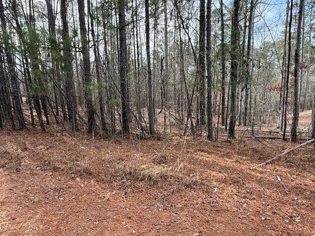 14-33 Kristen Lane McCormick, SC 29835 - Photo 3 of 5 IMG_6341 - Copy