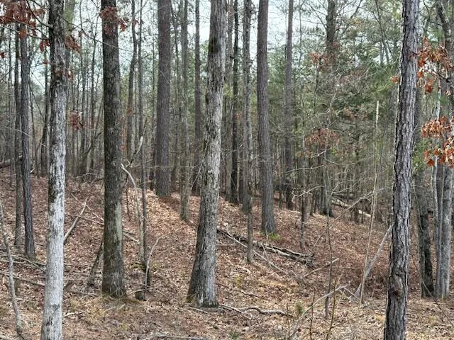 $24,000 | 14-33 Kristen Lane, McCormick, SC 29835