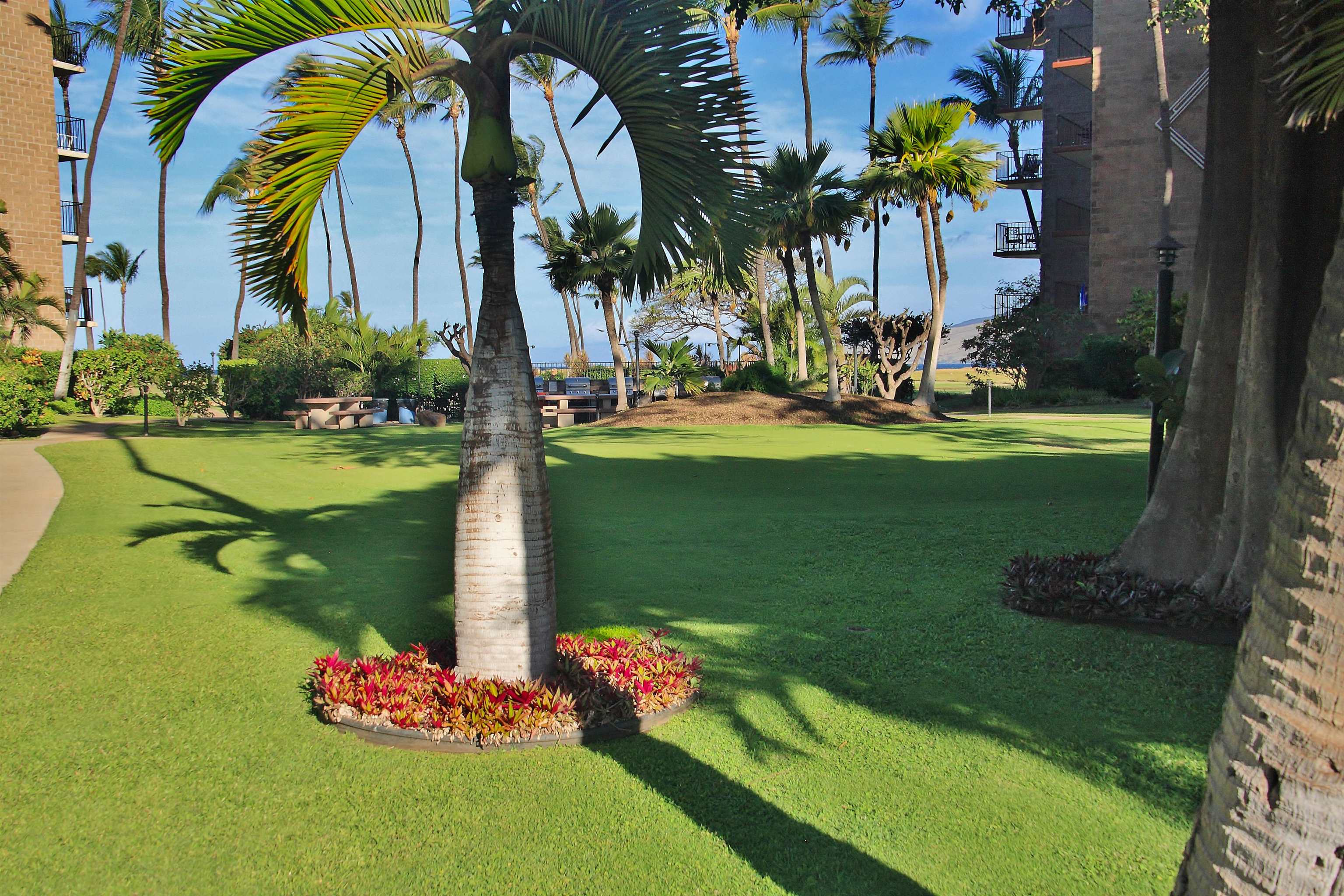 938 South Kihei Road, Unit 109 Kihei, HI 96753 - Photo 22 of 30 a view of a park with palm trees