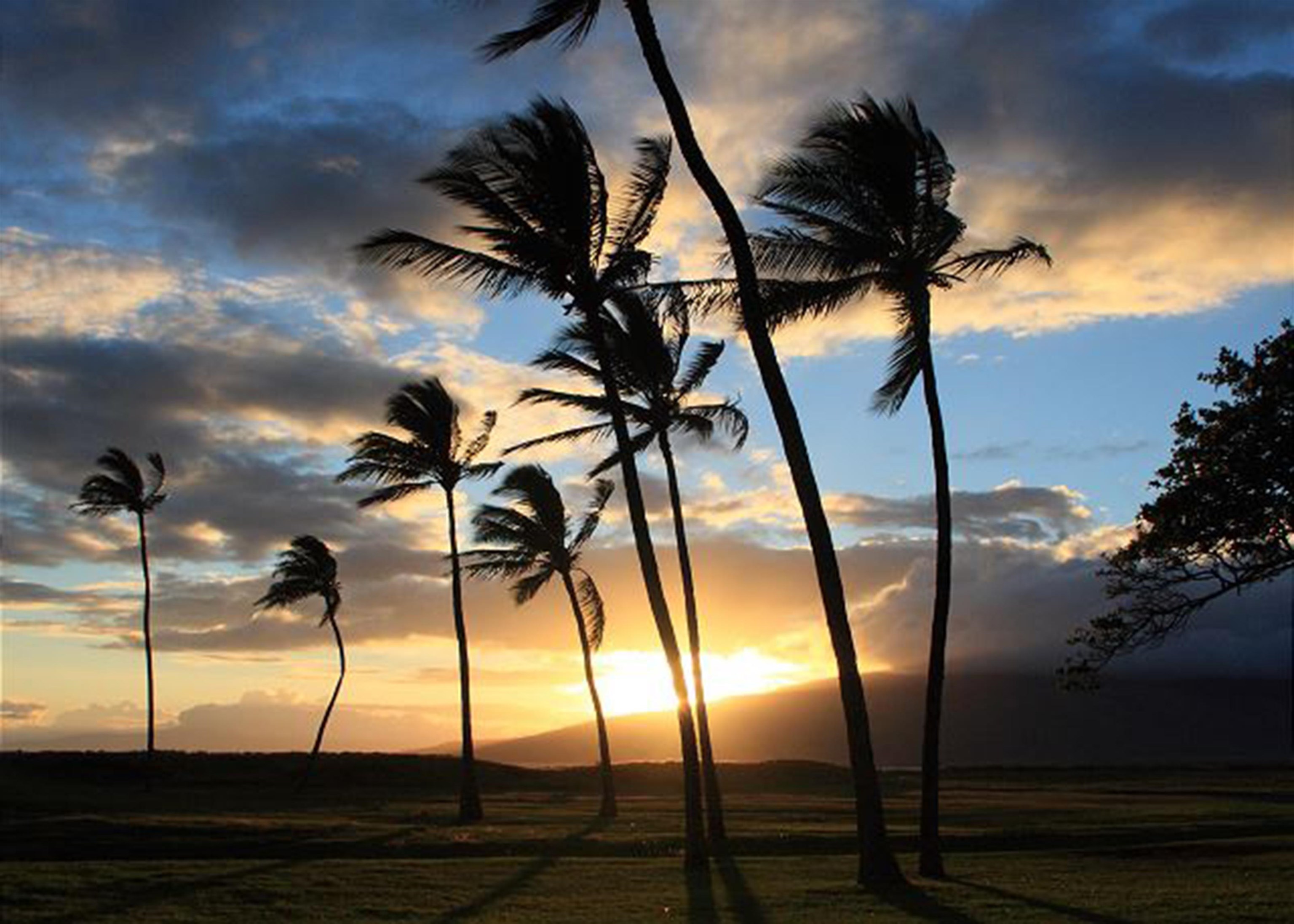 938 South Kihei Road, Unit 109 Kihei, HI 96753 - Photo 29 of 30 a view of swimming pool from a balcony