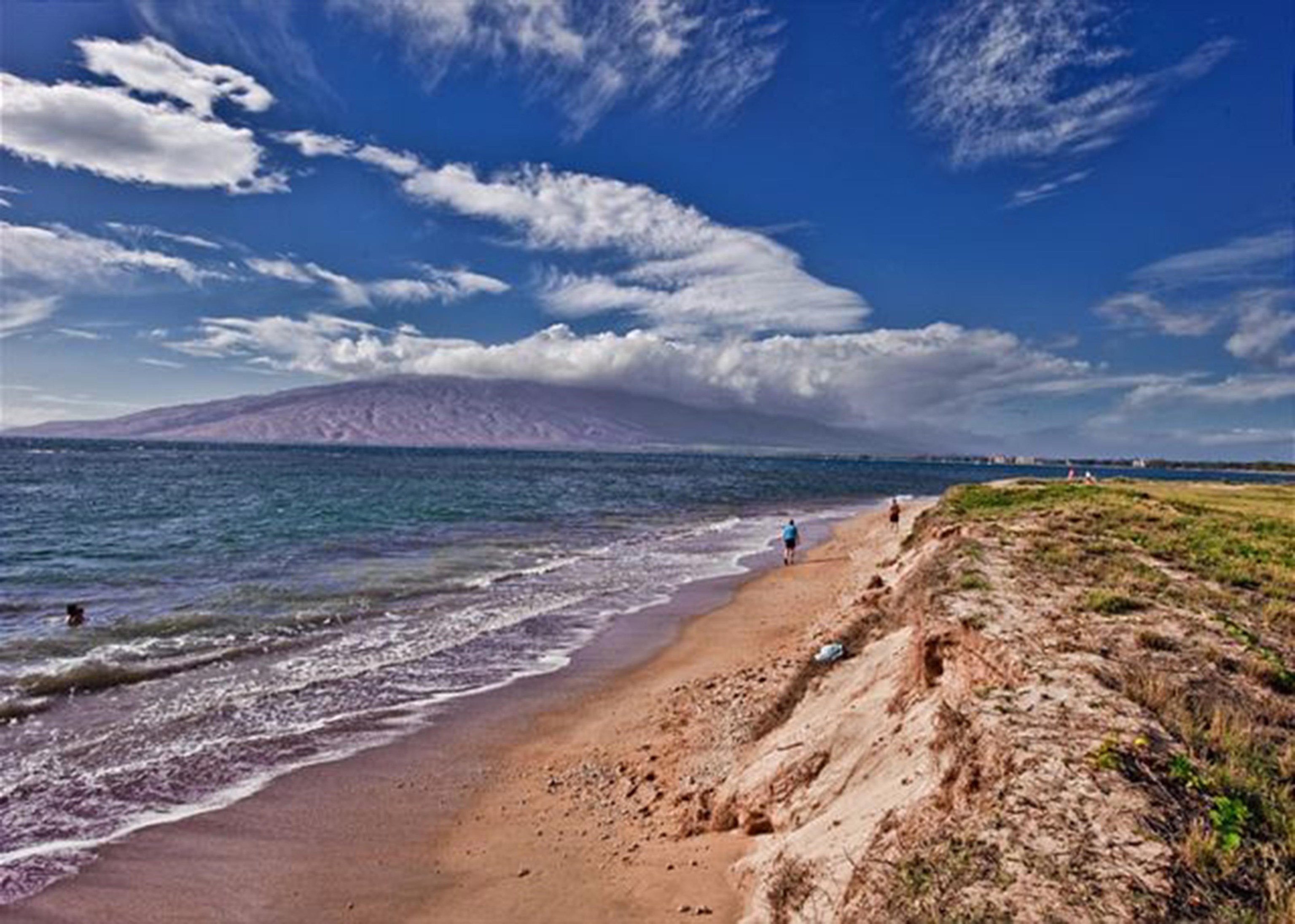 938 South Kihei Road, Unit 109 Kihei, HI 96753 - Photo 30 of 30 a view of a dry yard