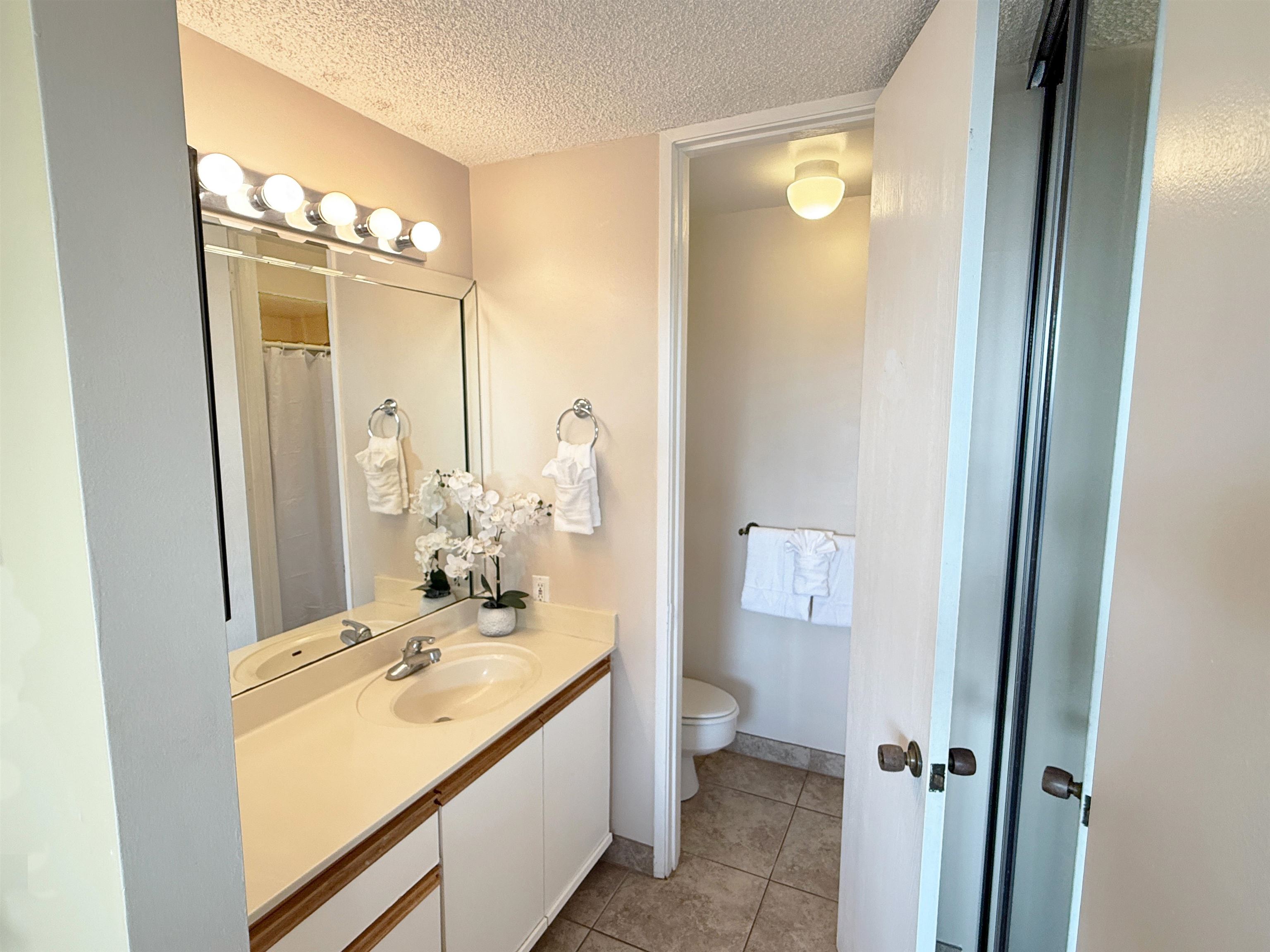 938 South Kihei Road, Unit 109 Kihei, HI 96753 - Photo 9 of 30 a bathroom with a sink a mirror and a toilet