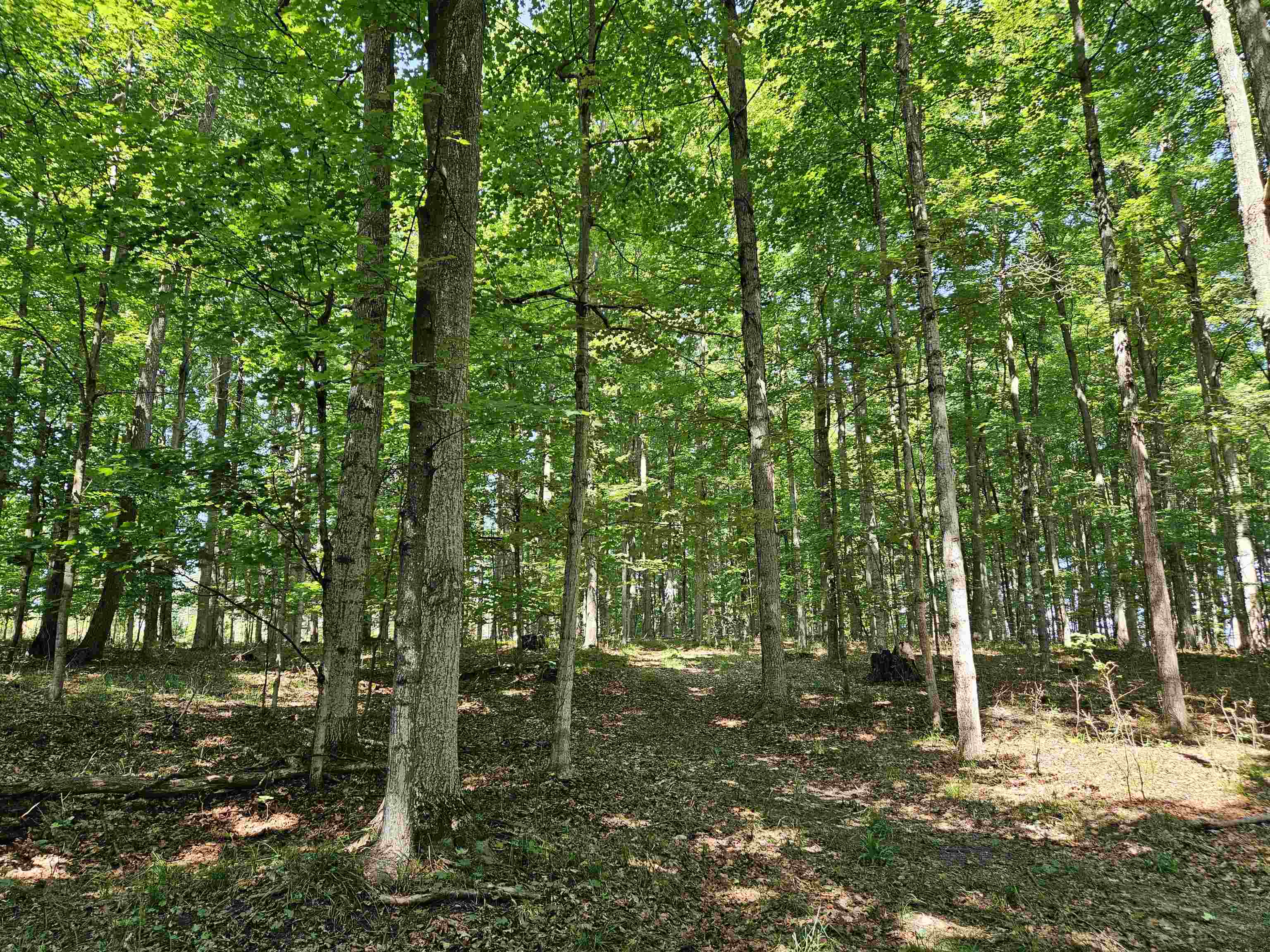 Tbd Tbd Willsey Road Traverse City, MI 49696 - Photo 10 of 22