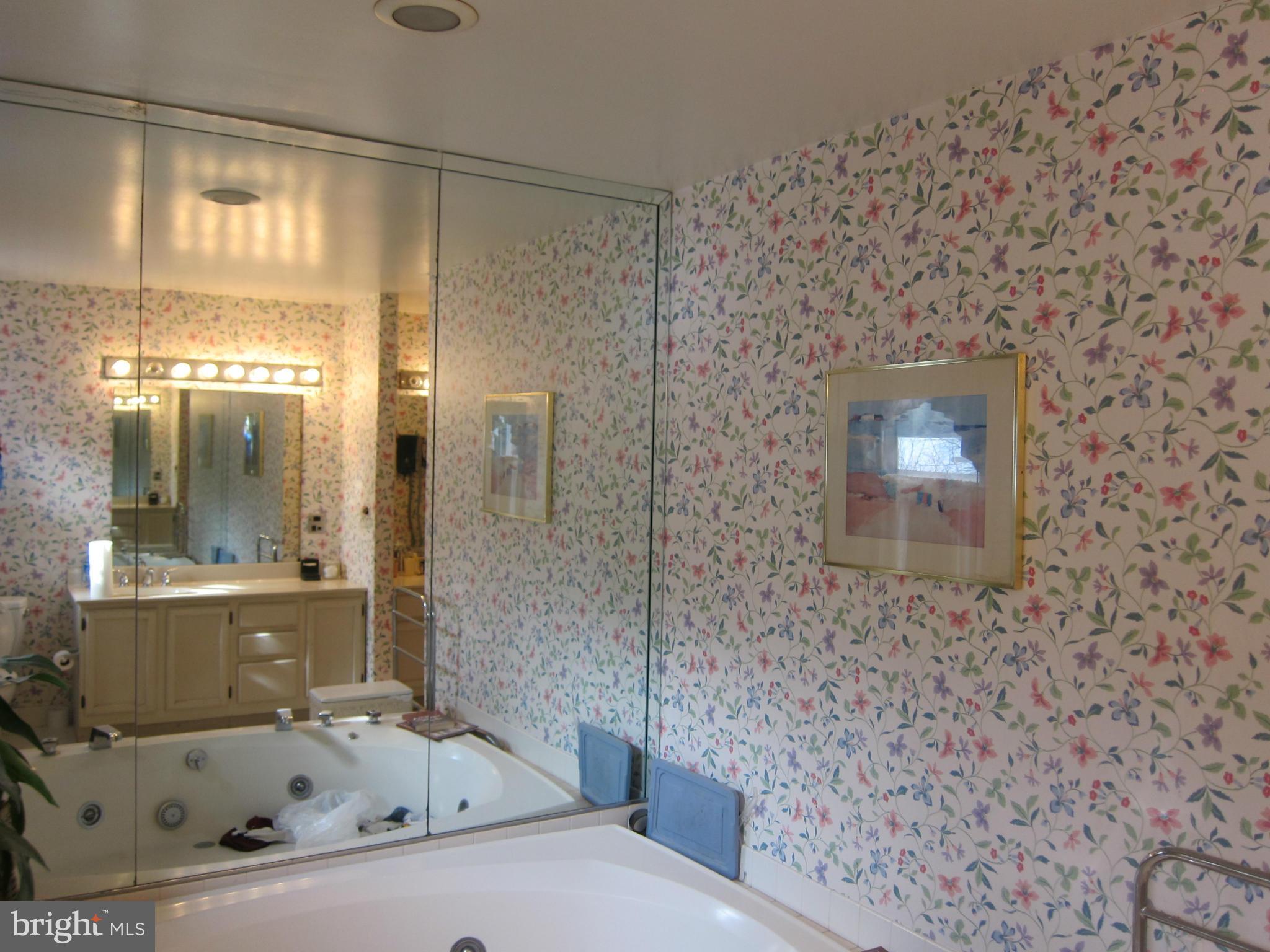 54 Redding Ridge Drive Gaithersburg, MD 20878 - Photo 16 of 29 Bath (Master)