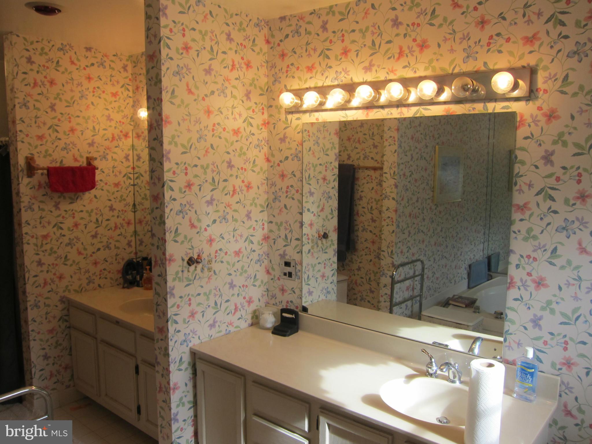 54 Redding Ridge Drive Gaithersburg, MD 20878 - Photo 17 of 29 Bath (Master)
