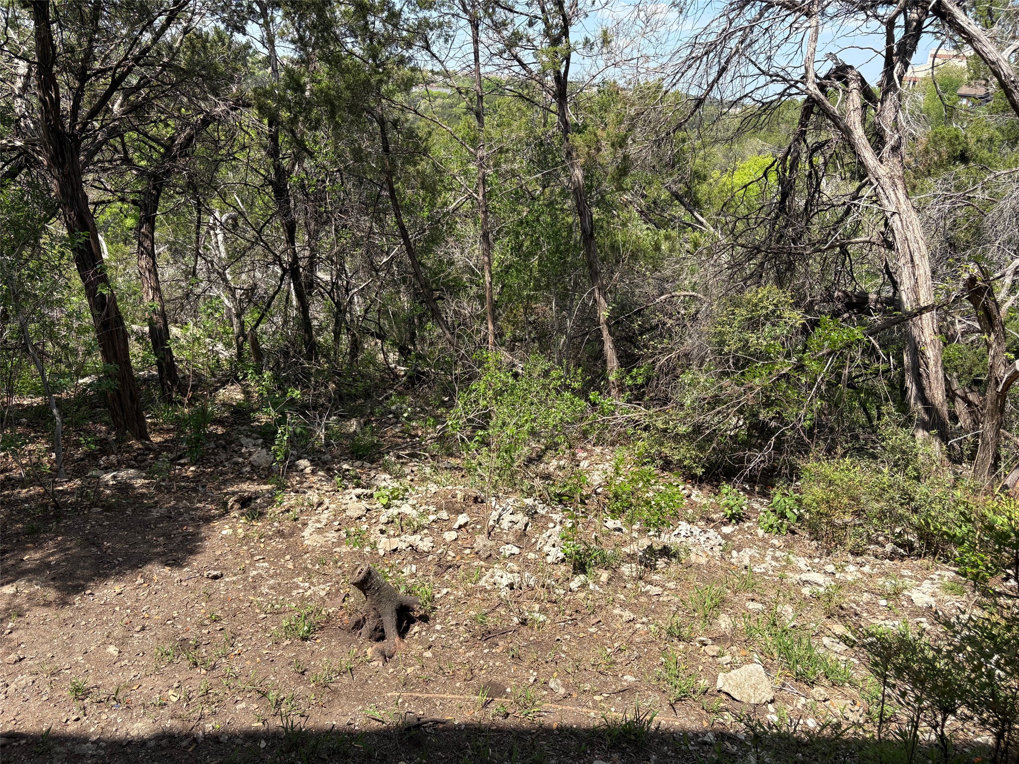 4711 Spicewood Springs Road, Unit 8146 Austin, TX 78759 - Photo 6 of 14 View of green space