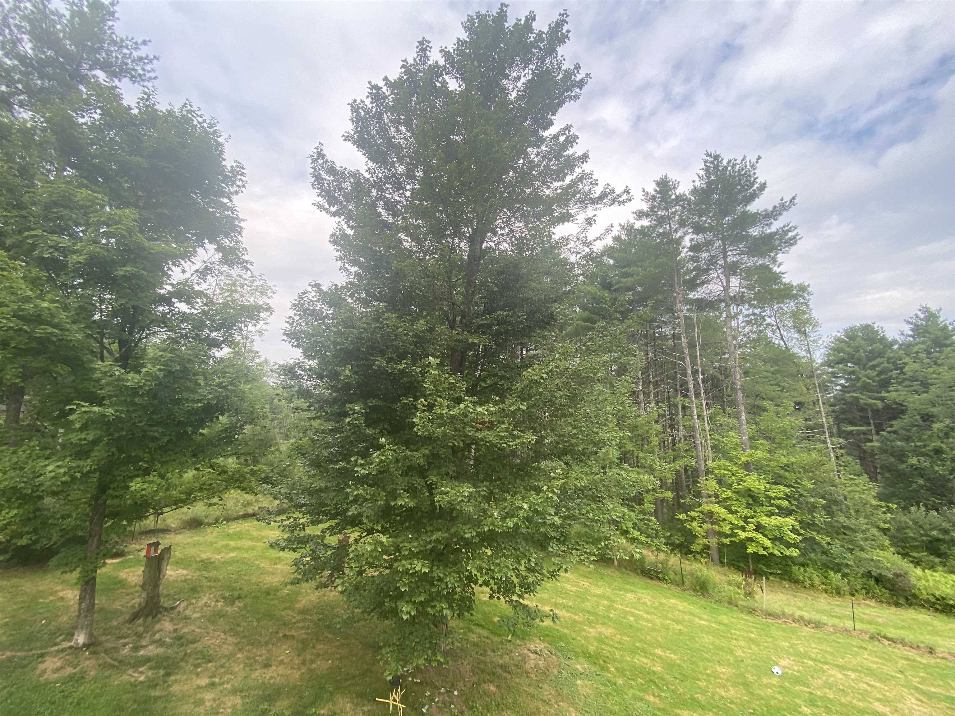 3378 Bullfrog Hollow Road Wells, VT 05764 - Photo 21 of 30 Gallery Image 21