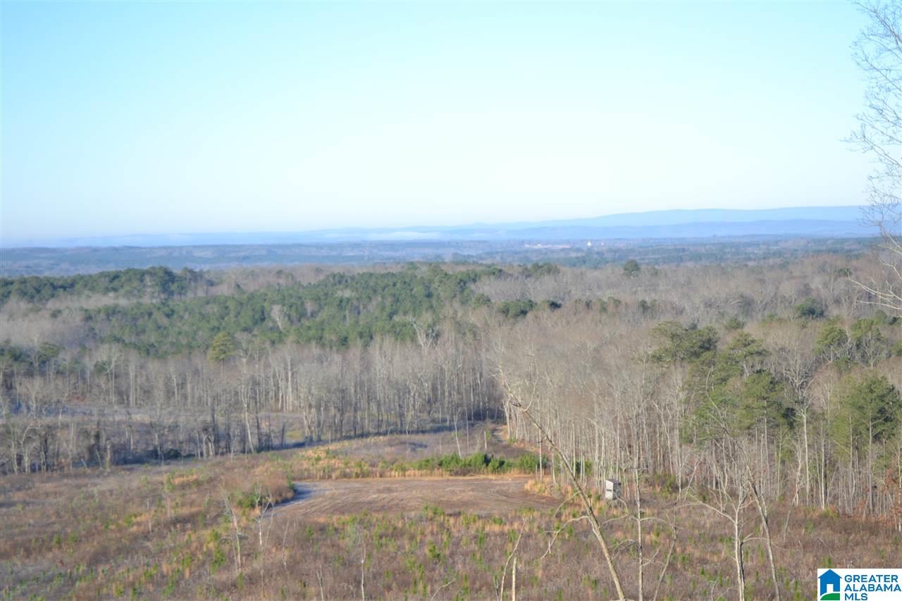 71 County Road, Unit 43 27 Woodland, AL 36280 - Photo 5 of 12