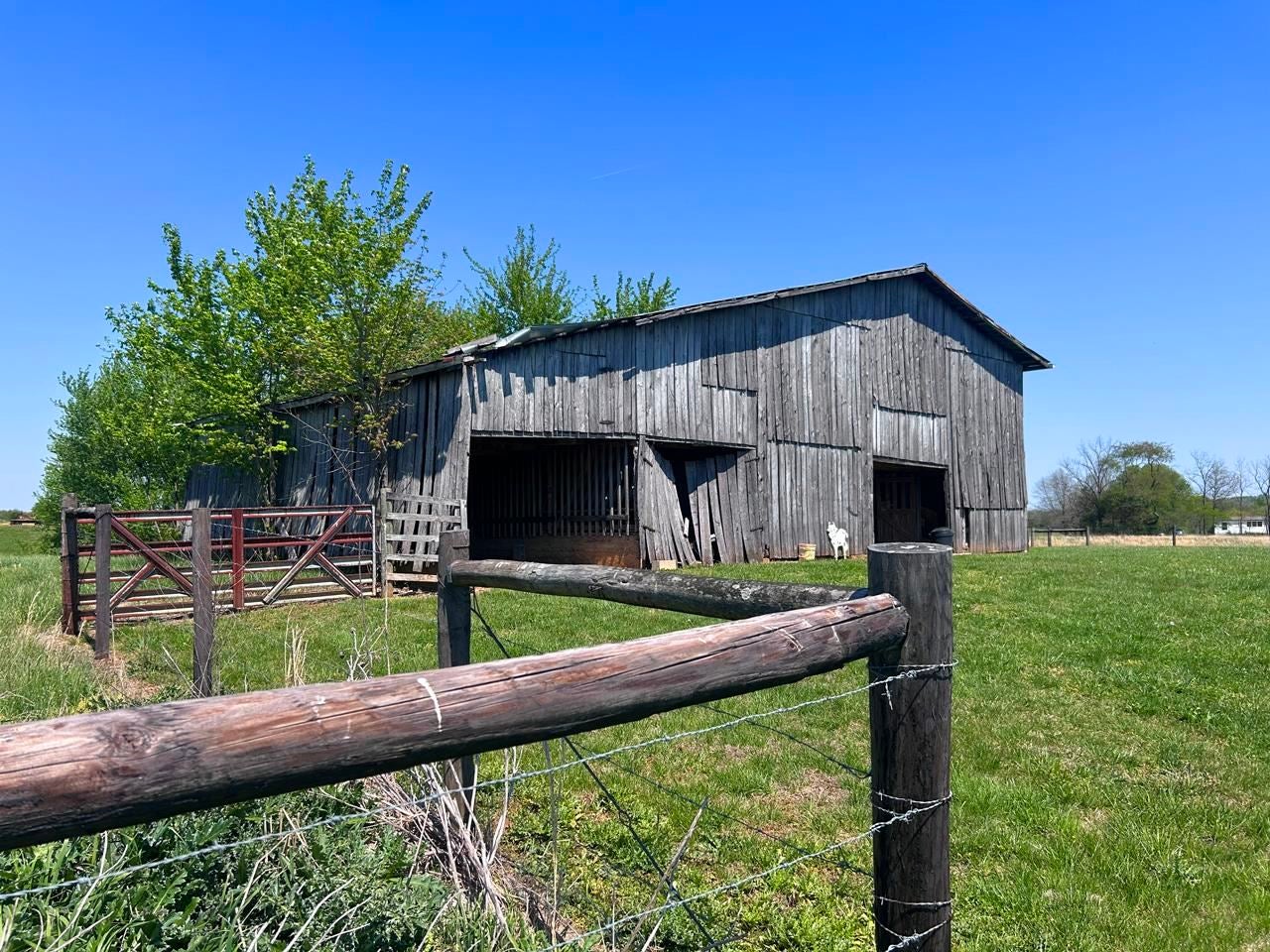 3230 Rex Road Hardyville, KY 42746 - Photo 18 of 28 Gallery Image 18