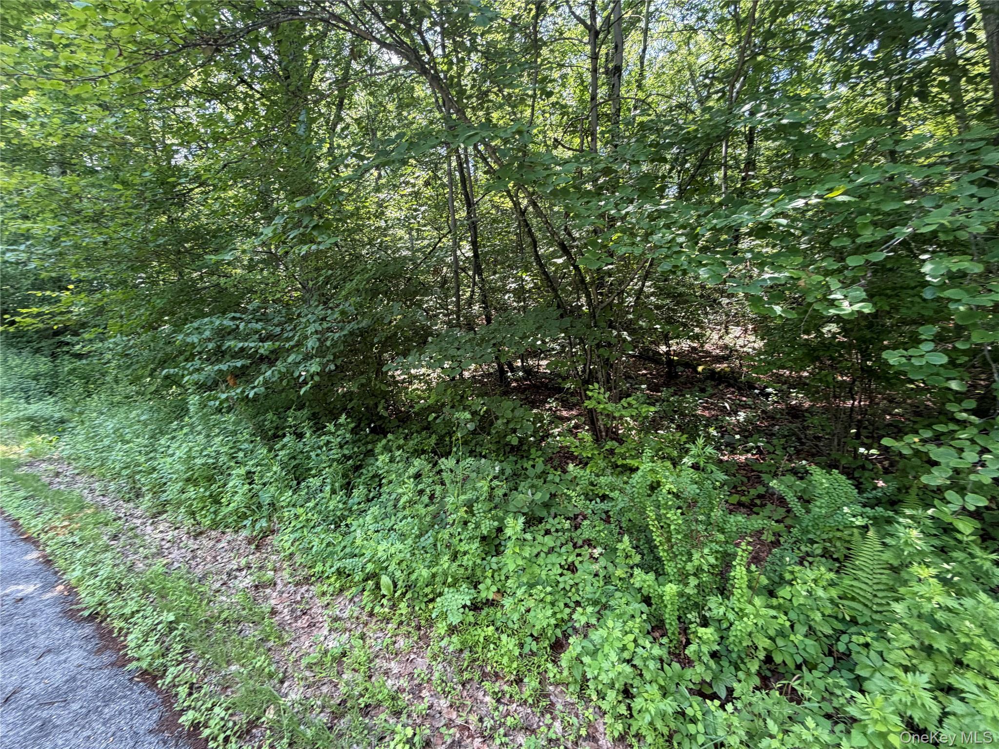 599 East Mountain Road North Cold Spring, NY 10516 - Photo 10 of 11