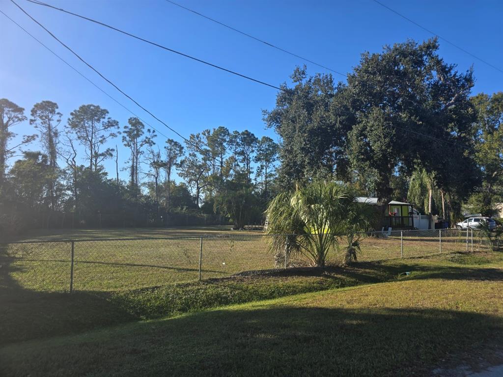 8013 Formby Street Riverview, FL 33578 - Photo 4 of 7 a view of a yard
