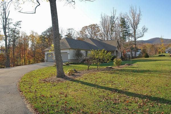 104 Claybrook Court Blue Ridge, VA 24064 - Photo 3 of 74 a view of a backyard with a tree