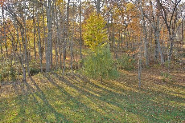 104 Claybrook Court Blue Ridge, VA 24064 - Photo 64 of 74 63