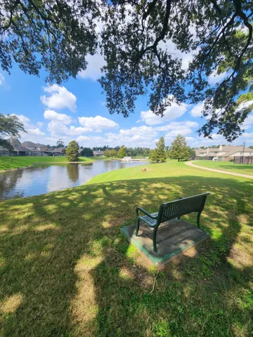 a view of a park with large trees