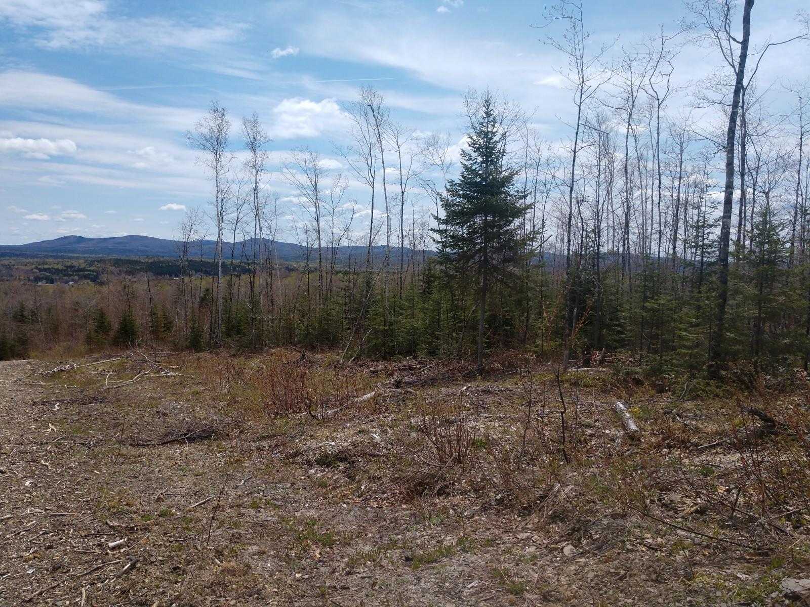 Off Convent Road Eagle Lake, ME 04739 - Photo 5 of 7 IMG_20190523_120119398