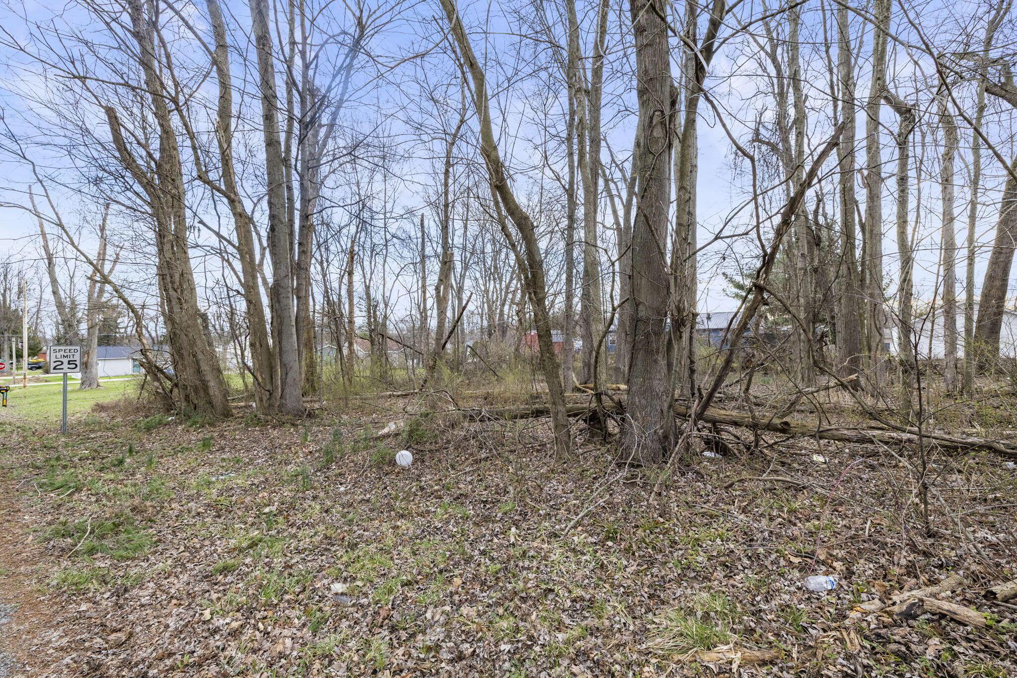 0 King Road Northeast Thornville, OH 43076 - Photo 4 of 31 Building lot in Fairfield Beach