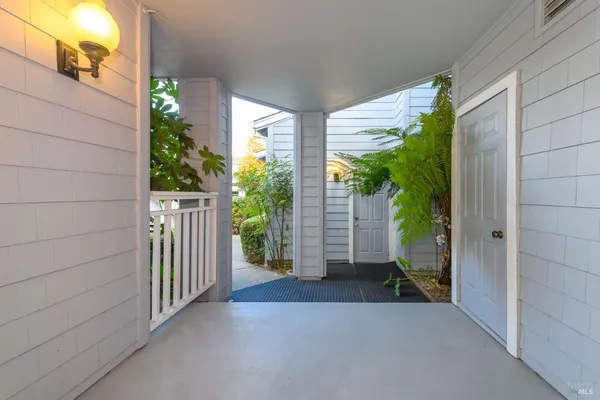 a view of backyard with potted plants