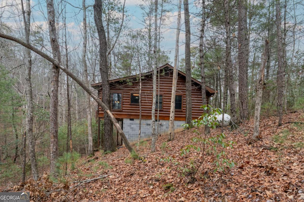 1165 Little Bushy Head Road, Unit 220 Blue Ridge, GA 30513 - Photo 24 of 29