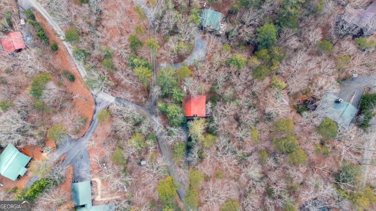 1165 Little Bushy Head Road, Unit 220 Blue Ridge, GA 30513 - Photo 28 of 29