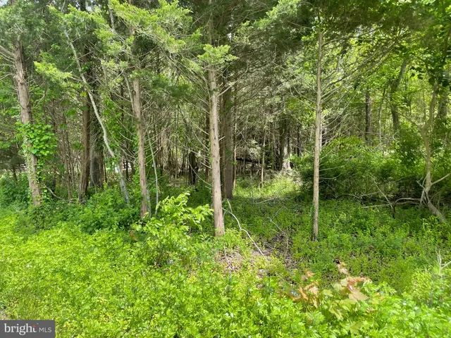 a view of backyard with green space