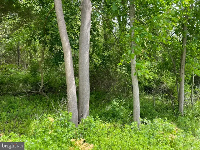 a view of outdoor space and garden