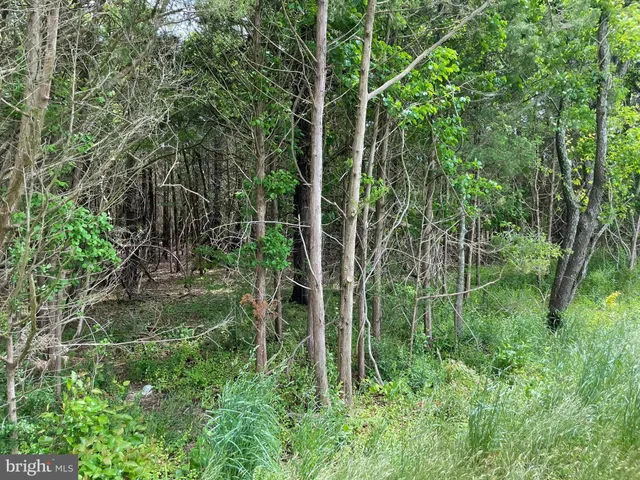 a view of an outdoor space and a yard