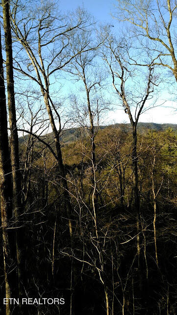 Tall Pines Way Sevierville, TN 37876 - Photo 46 of 46 TN Land (1)