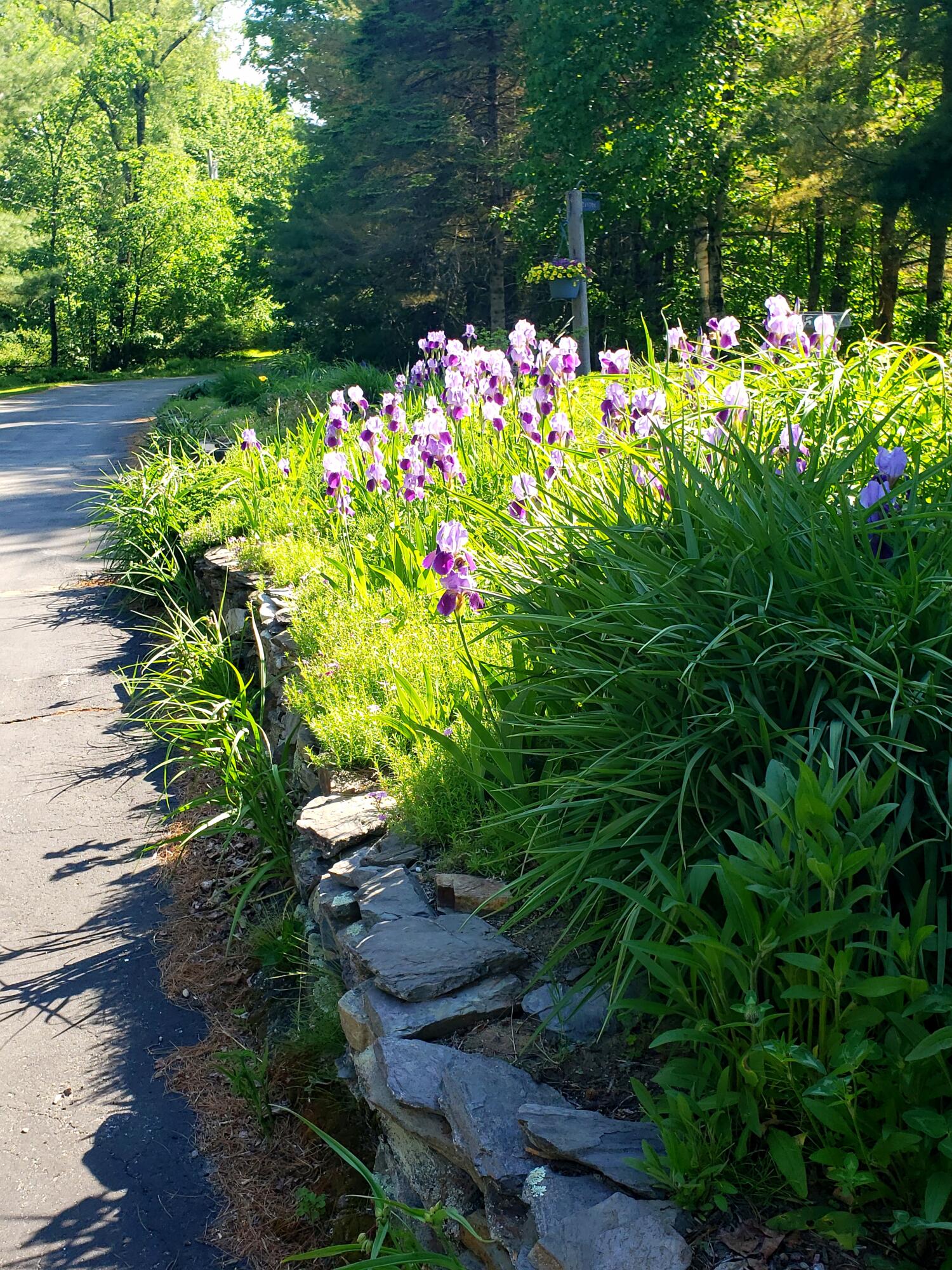 37 Cook Road Windham, ME 04062 - Photo 27 of 80 20240604_112136