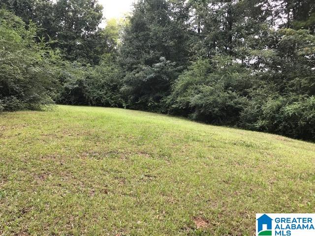 68 Geneva Road Talladega, AL 35160 - Photo 28 of 30