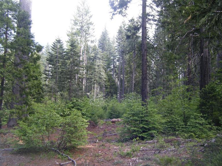 0 La Porte Road Challenge, CA 95925 - Photo 1 of 1 Gallery Image 1