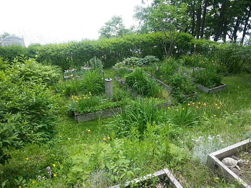 345 Front Street Bath, ME 04530 - Photo 28 of 33 Yard/Garden.
