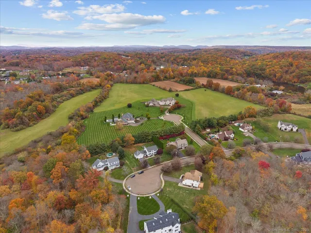 an aerial view of a residential houses with outdoor space